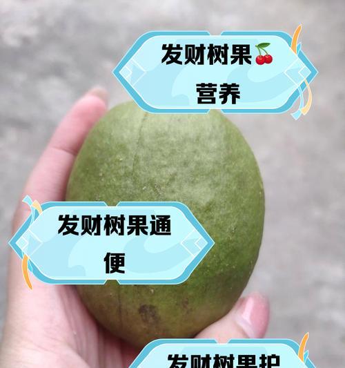 如何让发财树结果子？（掌握这些养护技巧，让你的发财树结果丰硕！）-第3张图片-绿意生活