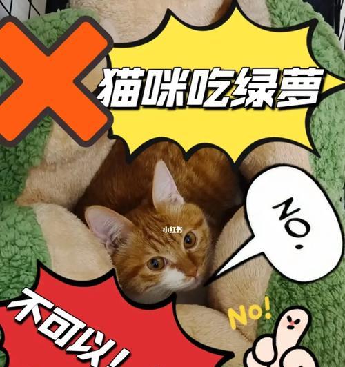 孩子误食绿箩急救方法大揭秘（急救绿箩中毒，做好这些你就放心了）-第3张图片-绿意生活