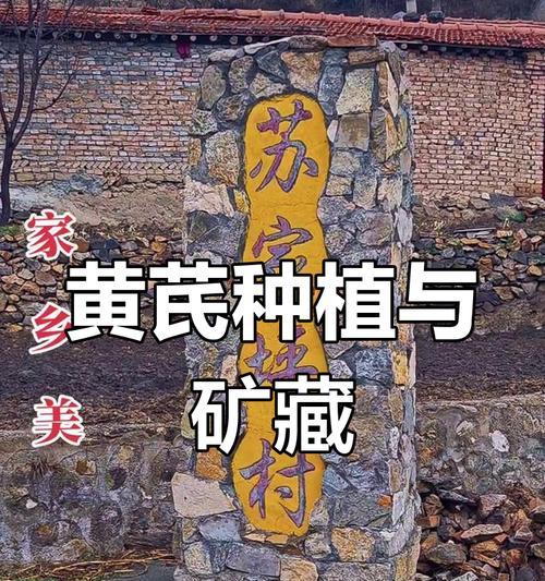 黄芪种植条件与种植技巧（打造适宜黄芪生长的环境，从土壤、气候到养护全方位解析）-第1张图片-绿意生活