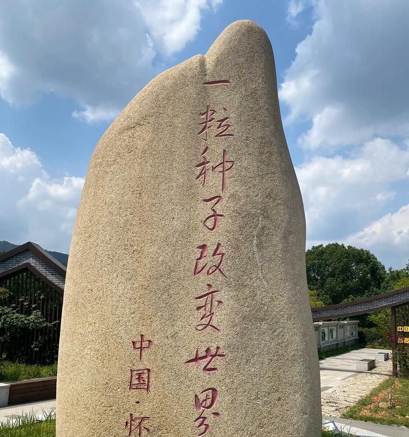 水稻种子的外观与特征（探究水稻种子的形态、大小、颜色、质地、萌发能力等特征）-第2张图片-绿意生活