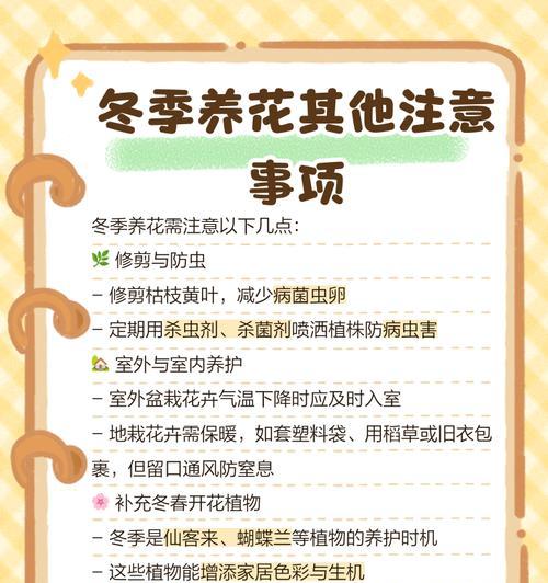 香雪兰花期过后的养护指南（让你的香雪兰长得更美丽！）-第2张图片-绿意生活