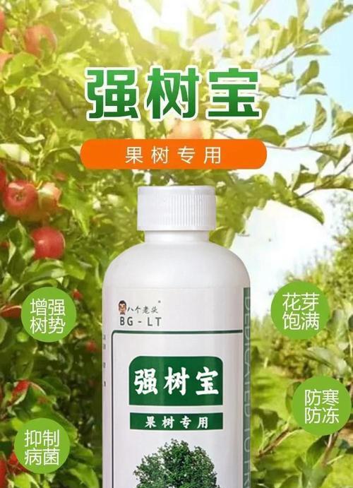 如何正确选择发财树肥料（掌握发财树肥料的使用技巧，让你的植物茁壮成长）-第1张图片-绿意生活