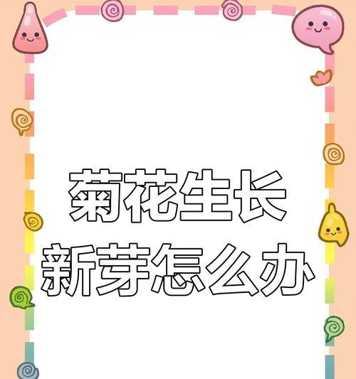 菊花冬季保养的秘诀（室内养护和户外保护，）-第2张图片-绿意生活