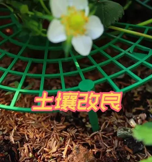 花草种植泥土的制作与使用方法（打造适合花草生长的泥土，让花草更茂盛）-第2张图片-绿意生活