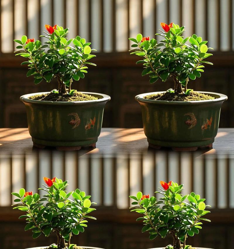 金鱼吊兰叶子白斑的治疗方法（如何有效治疗金鱼吊兰叶子上的白斑问题）-第3张图片-绿意生活
