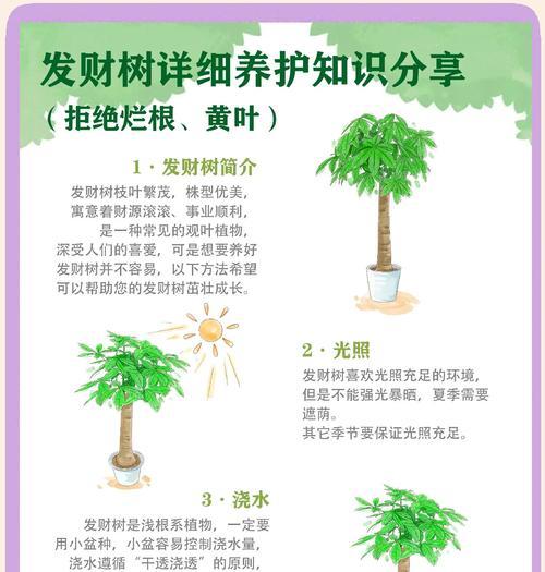 发财树茎软问题处理方法（轻松应对发财树茎软问题，让您的植物茁壮成长）-第1张图片-绿意生活