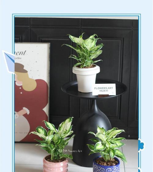 花叶万年叶子黄焉？教你恢复叶片健康的方法！（挽救叶子黄化，让花叶万年苏醒的秘诀揭晓）-第1张图片-绿意生活