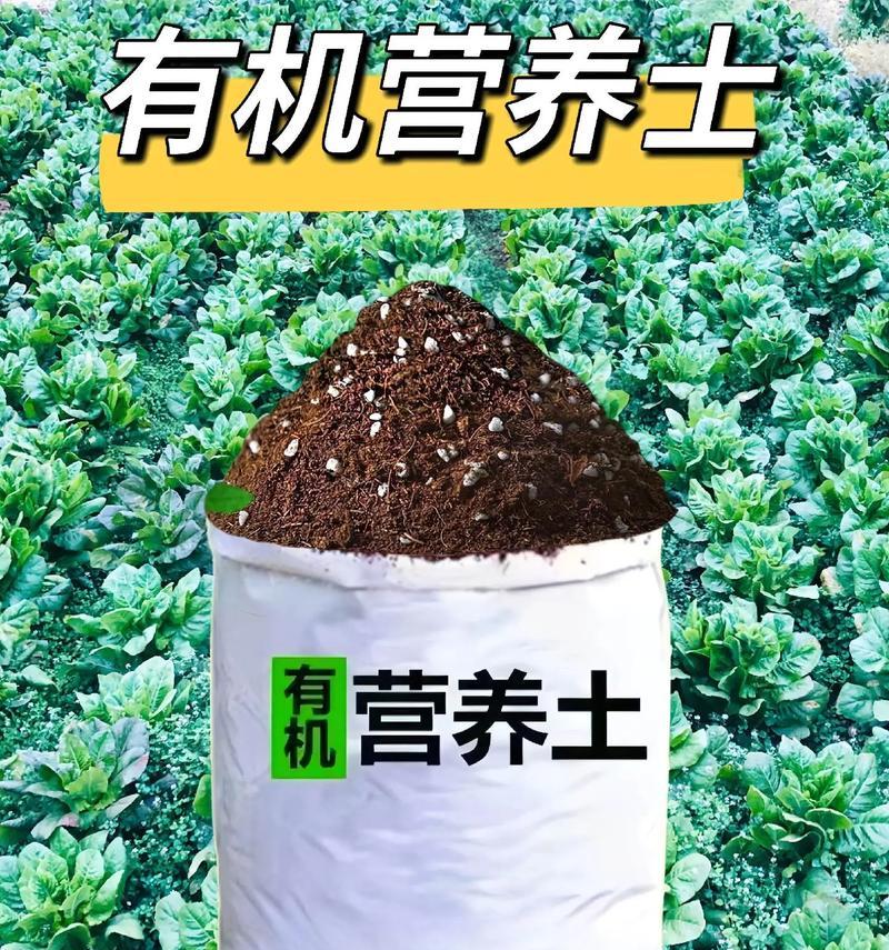 家庭养花的首选——育苗基质土（为您打造理想的养花环境，一步步培育健康繁盛的花朵）-第2张图片-绿意生活