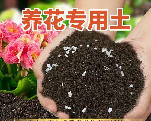 家庭养花的首选——育苗基质土（为您打造理想的养花环境，一步步培育健康繁盛的花朵）-第3张图片-绿意生活