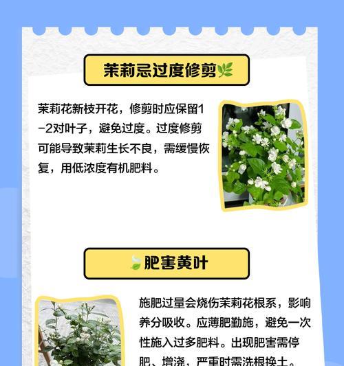 茉莉花老落叶之谜（探寻茉莉花老落叶现象背后的原因）-第3张图片-绿意生活