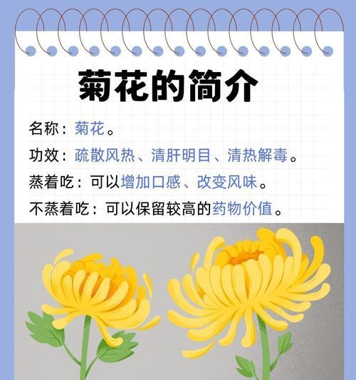 药用菊花的养殖与繁殖技巧（掌握菊花繁殖秘籍，打造丰富的药用菊花园）-第2张图片-绿意生活