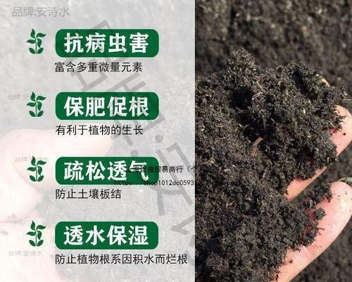 葡萄树的肥料施用方法（掌握正确施肥方法，让葡萄树茁壮成长）-第3张图片-绿意生活