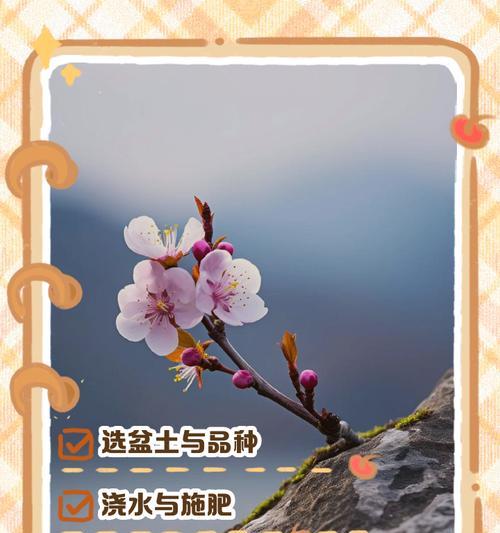 梅花开花时的科学浇水方法（梅花浇水的时间、频率和注意事项）-第2张图片-绿意生活