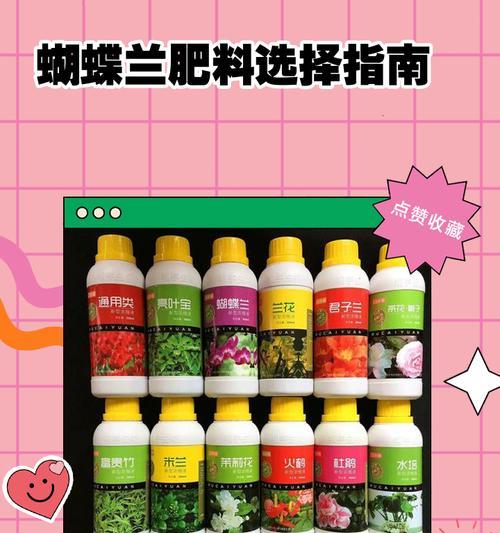 如何科学施肥养护蝴蝶兰（学会这些技巧，让你的蝴蝶兰更健康）-第1张图片-绿意生活