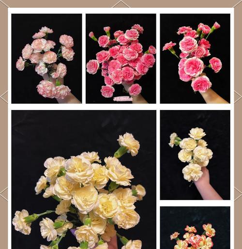 多头康乃馨插花艺术（用多头康乃馨打造独特花束，让自然之美绽放）-第1张图片-绿意生活