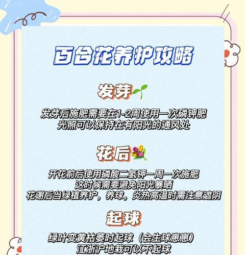 单枝百合的水养技巧（打造健康美丽的百合花园）-第1张图片-绿意生活