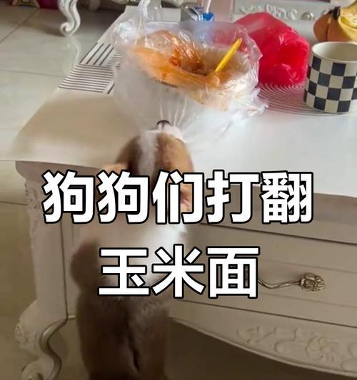 狗狗可以吃玉米吗？（玉米对狗狗的影响和注意事项）-第2张图片-绿意生活