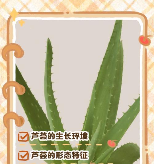芦荟生长的最佳温度剖析（温度对芦荟生长的影响及关键因素）-第1张图片-绿意生活
