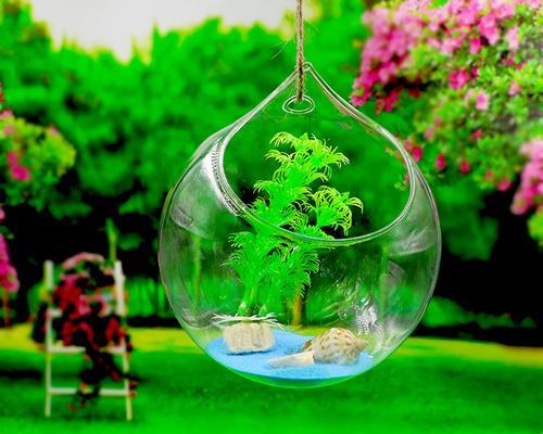 玻璃挂瓶植物的养护指南（打造独特居家绿植装饰，从玻璃挂瓶植物开始）-第2张图片-绿意生活