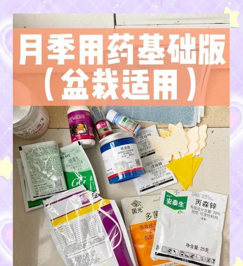 月季霜霉病防治攻略（预防月季霜霉病的关键措施及注意事项）-第3张图片-绿意生活