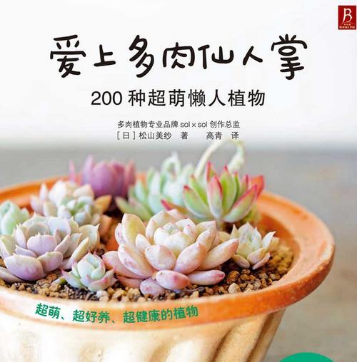 多肉仙人掌的种植技巧和注意事项（掌握这些关键步骤，让你的多肉仙人掌茁壮成长）-第3张图片-绿意生活