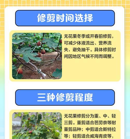 防止剪掉的树枝再次长出的方法（有效控制树枝再生的关键技巧）-第2张图片-绿意生活