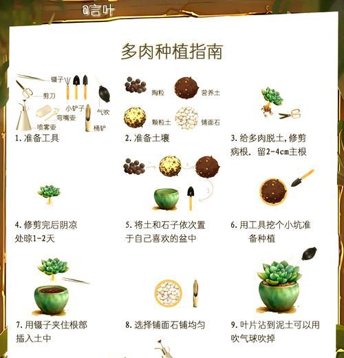 多肉植物的种植技巧与养护方法（让你的多肉植物健康茁壮成长，打造迷人的多肉园）-第3张图片-绿意生活