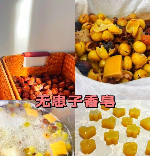 以老无患子，赋予新生命（用老为主题，书写新篇章）-第3张图片-绿意生活