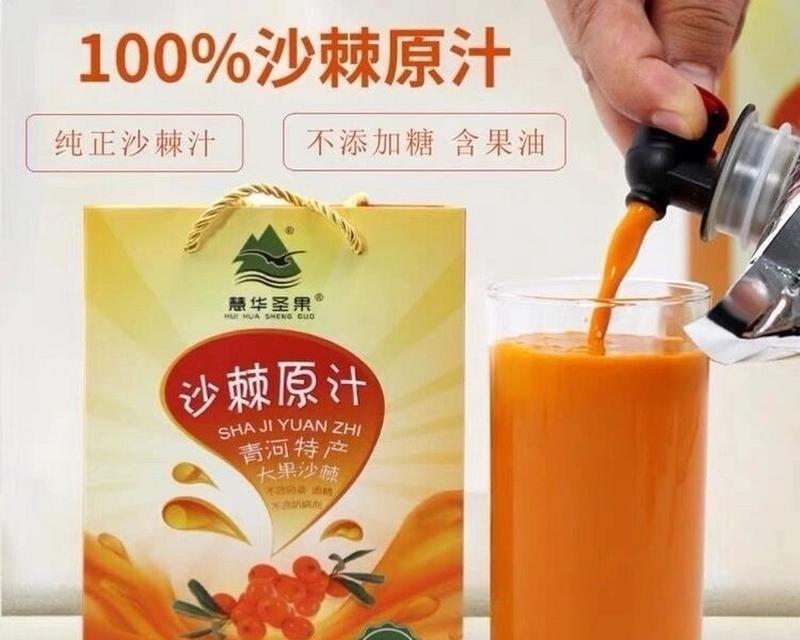 沙棘种子容易出苗的种植方法（掌握关键技巧，打造沙棘种植成功率）-第1张图片-绿意生活