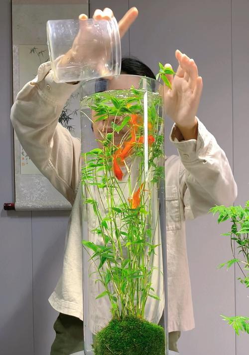 花盆里的竹子如何修剪（打造优美的竹林风景，让花盆成为绿色的角落）-第2张图片-绿意生活