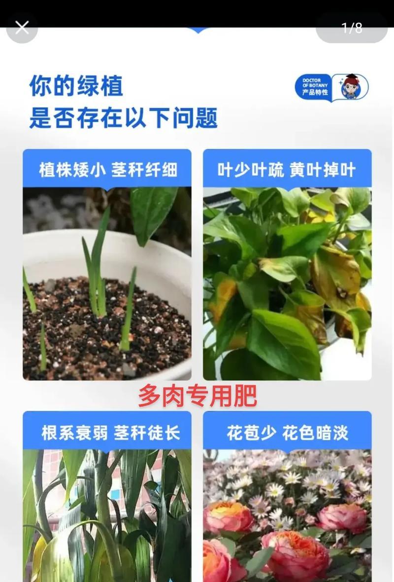 简单制作盆栽肥料的方法（快速制作高效肥料的秘诀）-第2张图片-绿意生活
