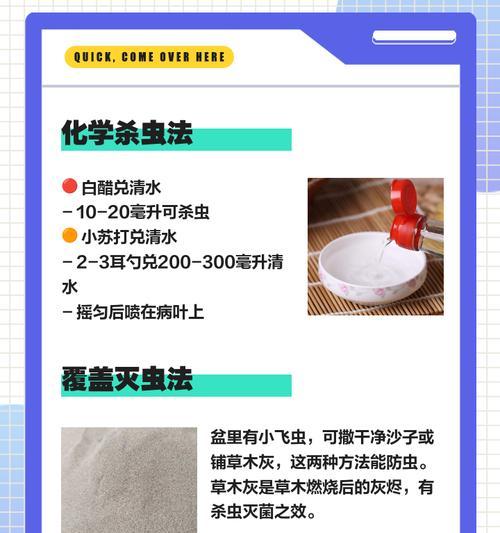 有效防治多肉腻虫的方法（轻松摆脱多肉腻虫的困扰，保护多肉植物的健康成长）-第2张图片-绿意生活