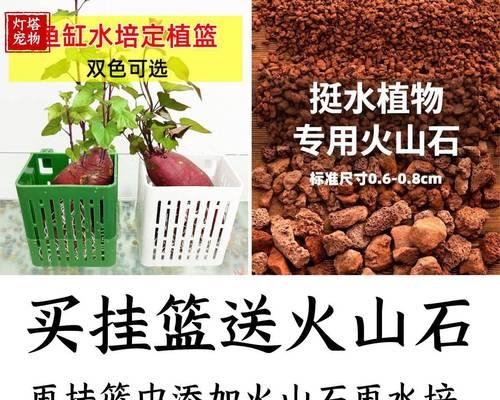 植物杯（用大自然的灵感，打造独特的植物杯，让生活更美好）-第1张图片-绿意生活