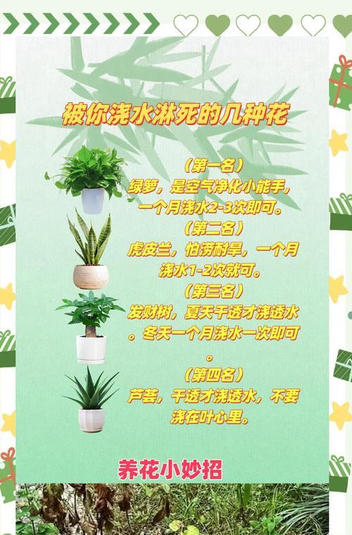 如何正确浇水给家里没人的植物（保证植物健康成长的简单方法）-第2张图片-绿意生活
