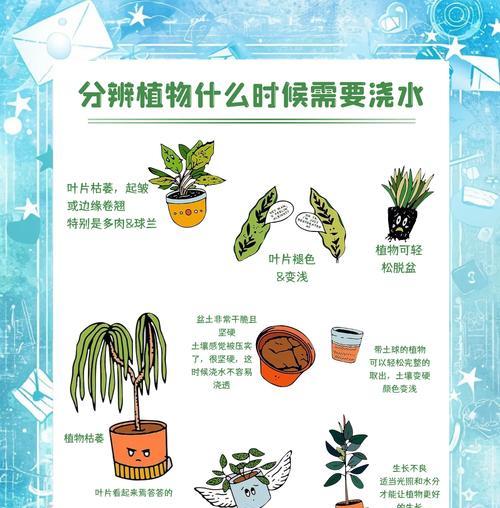 如何正确浇水给家里没人的植物（保证植物健康成长的简单方法）-第1张图片-绿意生活