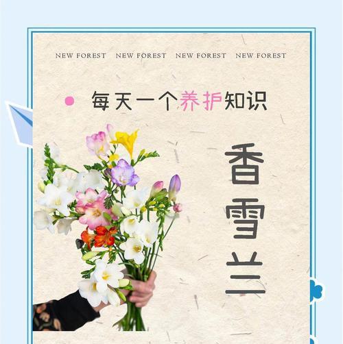 以香雪兰如何度过寒冬（从保温到补光，了解香雪兰的冬季养护）-第2张图片-绿意生活