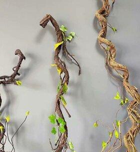 探秘树藤——一种神奇的攀援植物（了解树藤的分类、特点及生态习性）-第1张图片-绿意生活