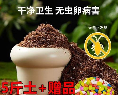 虎皮兰的养殖技巧与肥料需求（打造健康虎皮兰，肥料是关键！）-第2张图片-绿意生活