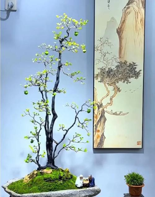 金弹子树桩的养护指南-第1张图片-绿意生活