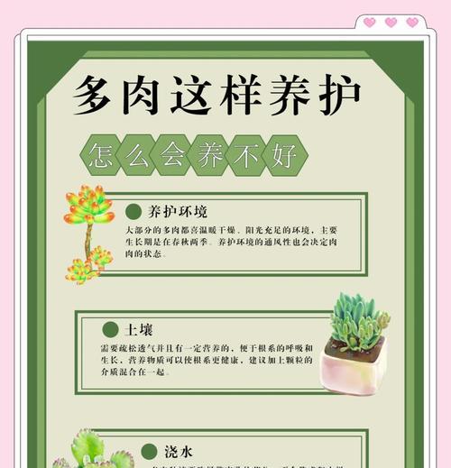 雨水对以露养的多肉的影响及避免措施（如何保护以露养的多肉免受雨水侵害）-第1张图片-绿意生活