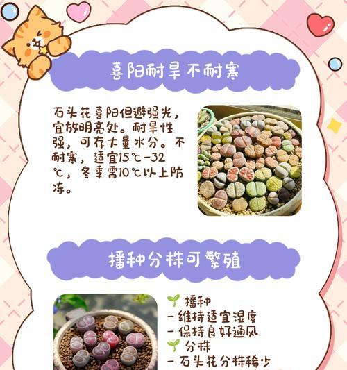石头花透明的奇迹（解密石头花透明的原理及形成过程）-第3张图片-绿意生活