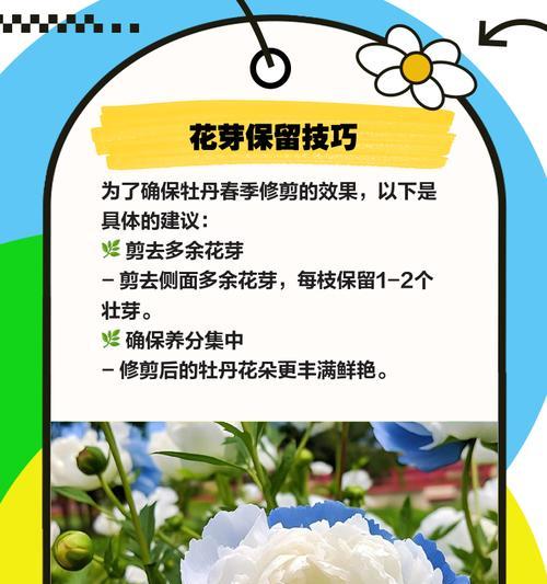 牡丹花枯萎了怎么剪掉？（快速有效的修剪方法，让牡丹重焕生机）-第3张图片-绿意生活