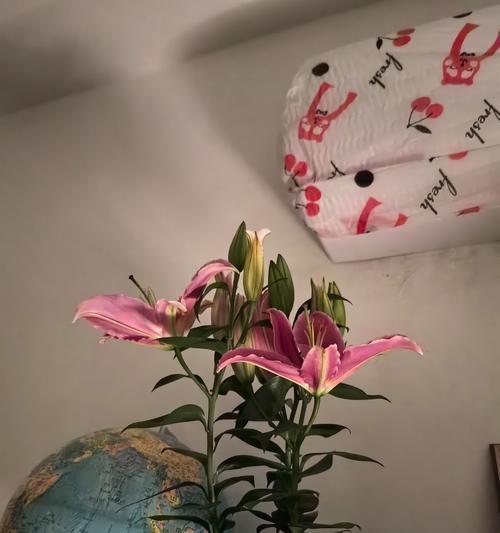 如何正确修剪以香水百合开花（打造美丽花坛的关键步骤与技巧）-第2张图片-绿意生活