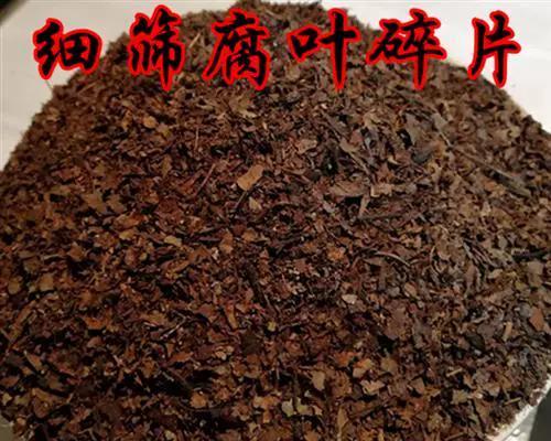 以养君子兰的腐叶土制作方法（制作君子兰专用腐叶土的步骤与技巧）-第1张图片-绿意生活