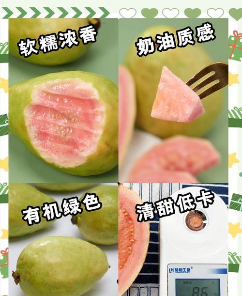 红石榴上市月份及成熟季节（了解红石榴的成熟季节和上市时间，享受美味健康的口感）-第3张图片-绿意生活