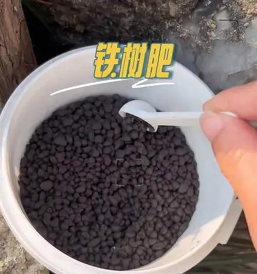 铁树施肥的技巧与注意事项（培养健康的铁树，关键是正确施肥）-第3张图片-绿意生活