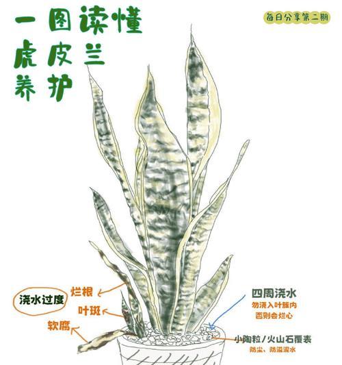 虎皮兰的繁殖技巧（掌握关键步骤，轻松繁衍虎皮兰之美）-第1张图片-绿意生活