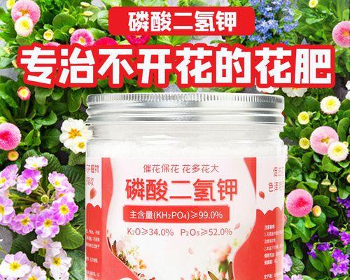 磷酸二氢钾在花卉栽培中的应用（提高花卉生长质量的关键——磷酸二氢钾）-第2张图片-绿意生活