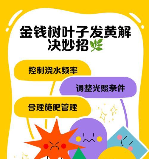 如何防止金钱树叶子变干（有效的护理方法和预防措施）-第3张图片-绿意生活