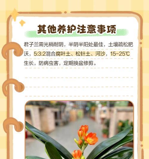 君子兰的浇水养护之道（浇水时间、浇水方法及注意事项）-第1张图片-绿意生活